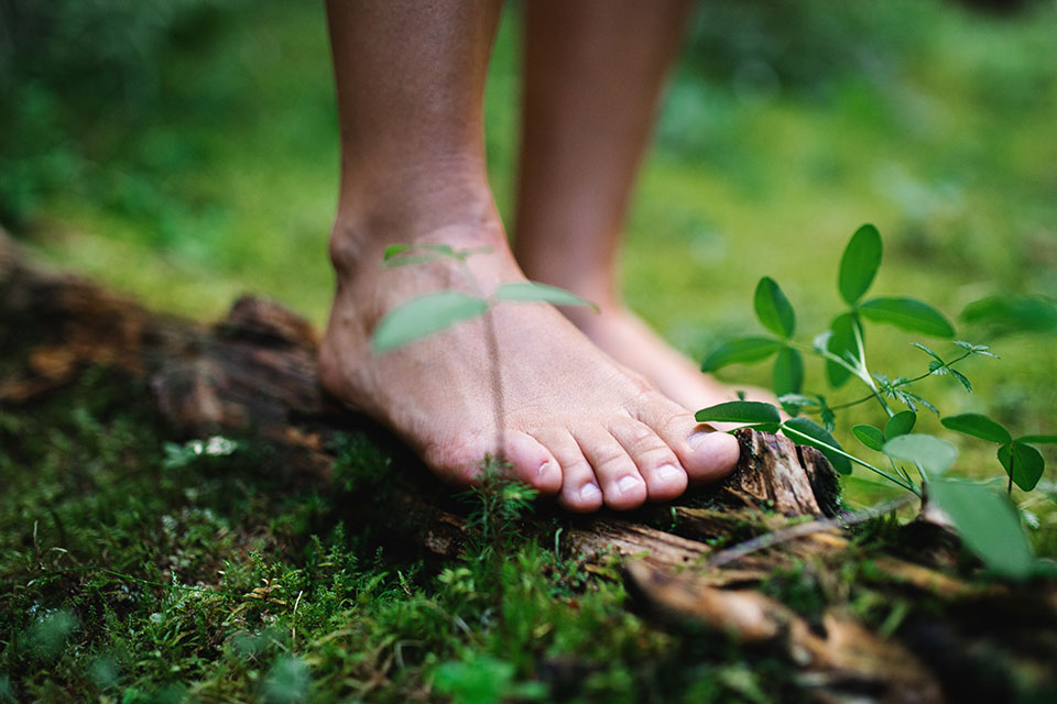 Waldbaden - nackte Füße auf Holz